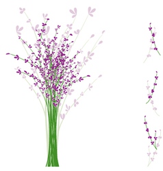Summertime lavender flower vector image