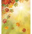 Fall vector image
