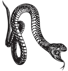 Big Snake vector image