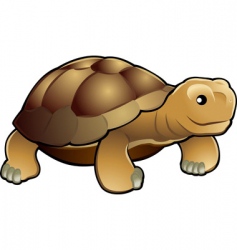 Tortoise vector image