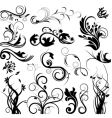 Floral decorations vector image