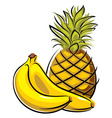 Pineapple and bananas vector image