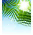 Palm leaf1 vector image