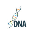 Logo dna vector image