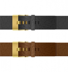 Leather belt Leather belt vector image