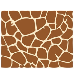 Giraffe skin pattern vector image