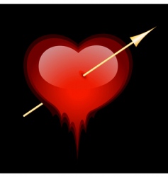 Valentine heart vector image