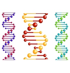 DNA molecule with elements vector image