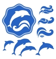 Dolphins silhouettes vector image