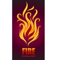 Burning flame of fire vector image