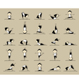 People practicing yoga 25 poses for your design vector image