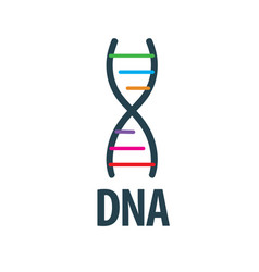 Logo dna vector image