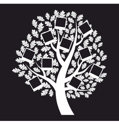 Family genealogical tree on black background vector image