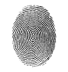 Fingerprint vector image