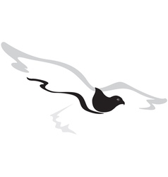 Hawk vector image