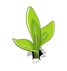 Young sprout vector image