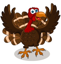 Happy turkey cartoon vector image