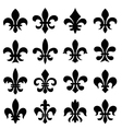 Fleur de lys design vector image