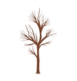 tree trunk with branchs without leaves vector image