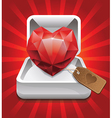 Ruby in a box vector image