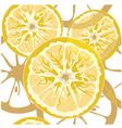 Seamless citrus pattern vector image