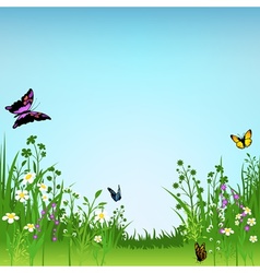Meadow and Butterflies vector image
