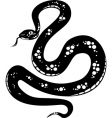 Snake vector image