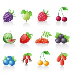 Berries icon set vector image