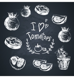 Hand Drawn Sketch of vegetables Tomatoes vector image