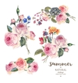 Set vintage floral bouquet of English roses vector image