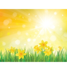 Floral background vector image