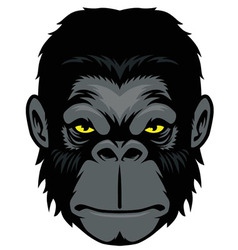 Ape head mascot vector image