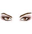 Woman brown eyes vector image