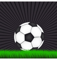 Soccer background with ball Soccer background with ball vector image