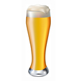Beer vector image