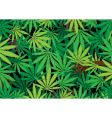 Hemp background vector image