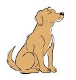 Labrador vector image