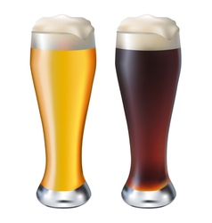 Beer vector image