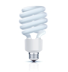 Fluorescent lightbulb vector image