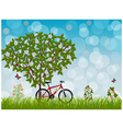 Summer landscape vector image