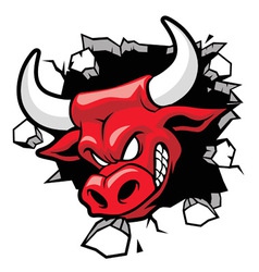 Bull heading a wall vector image