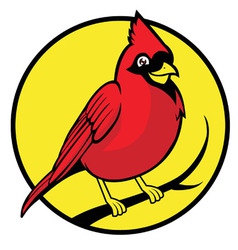 Cardinal bird vector image