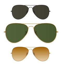 Sunglasses vector image