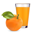 Orange Juice vector image