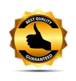Best choice gold label vector image