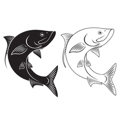 Tarpon vector image