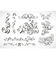 Calligraphic design elements smooth floral lines vector image