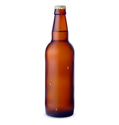 Dark bottle of beer vector image