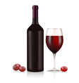 Red Wine vector image