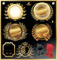 Elegant luxury labels vector image